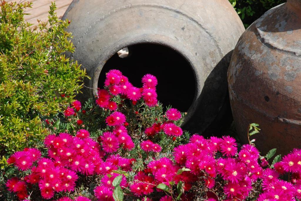 A Flor Da Rosa Hotel Crato Exterior foto